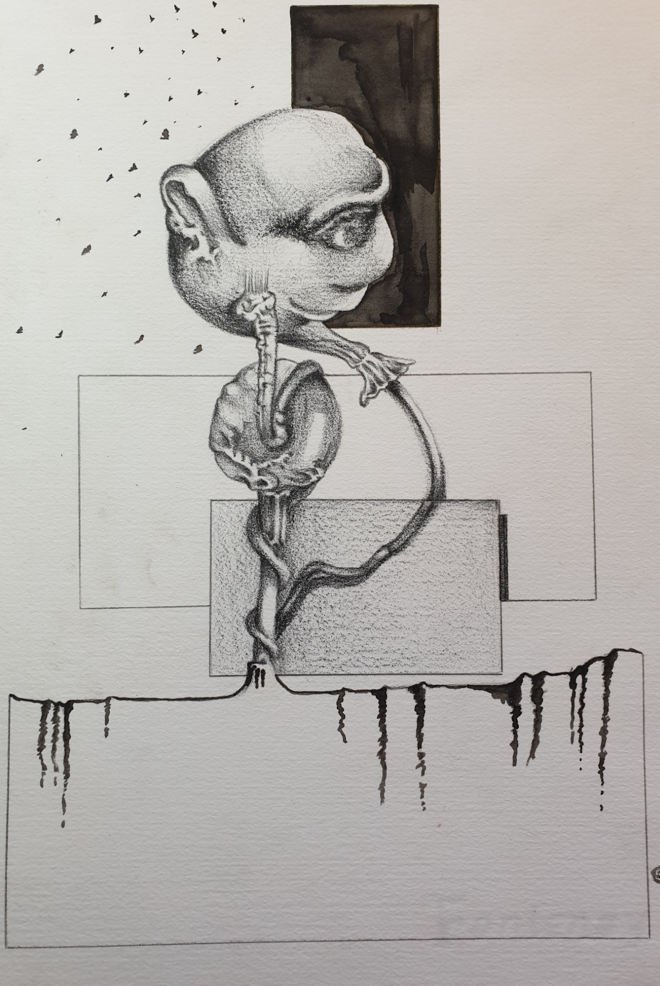 cabeça balão (técnica mista)