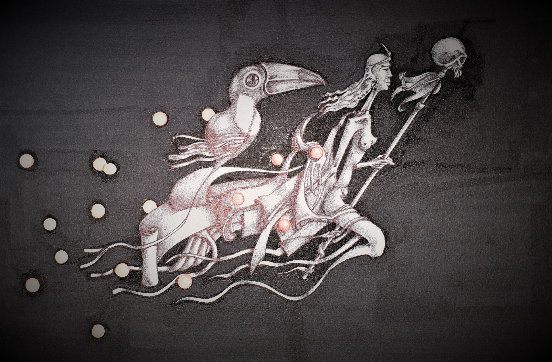 princesa e pássaro(esferográfica com  tinta da china sobre papel)